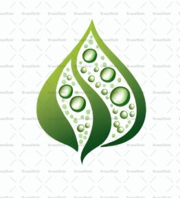 Tautropfen auf einem Blatt